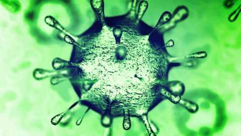 Coronavirus, in Puglia 82 nuovi casi: positivo il 5,14% dei tamponi
